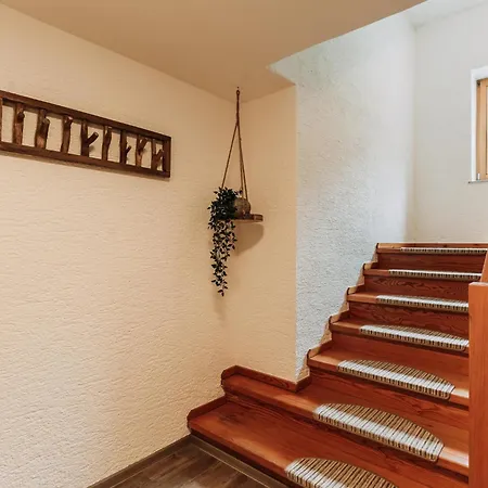 別荘 Barney M ラウリス