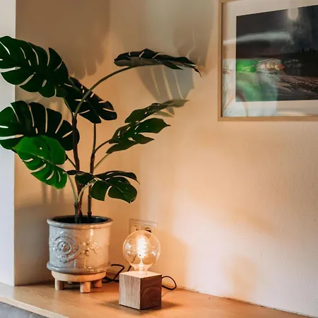 Barney M Prázdninový dům *