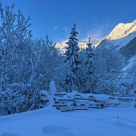 別荘 Barney M ラウリス