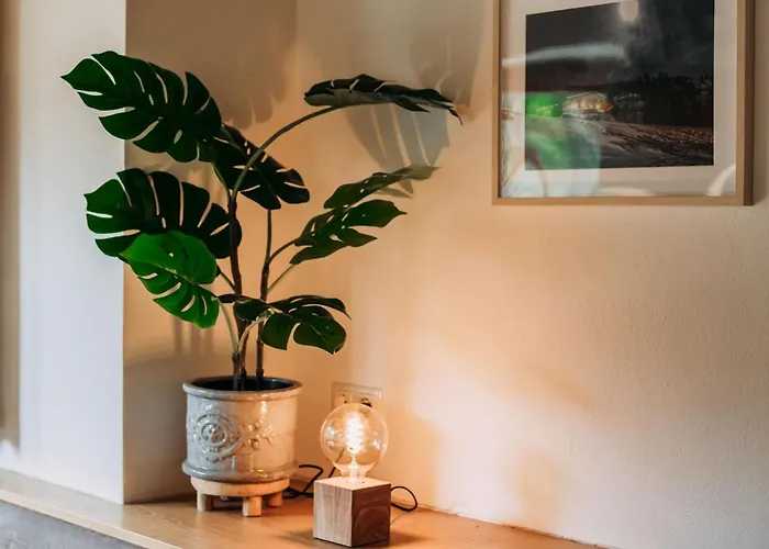 Barney M Dom wakacyjny *