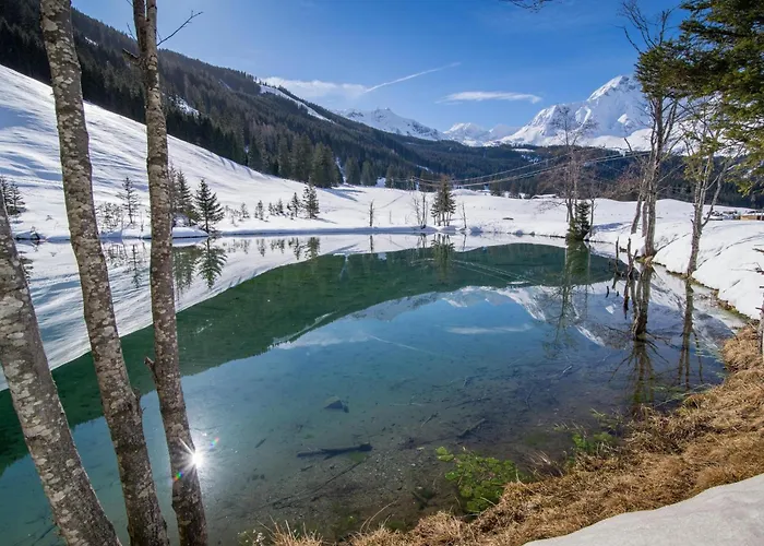 Tatil Evi Barney M *